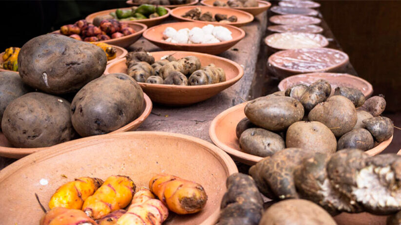 varietà di patate peruviane