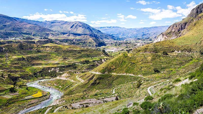 colca canyon bird watching in peru