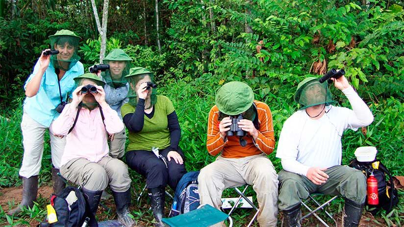 bird watching in peru tourist