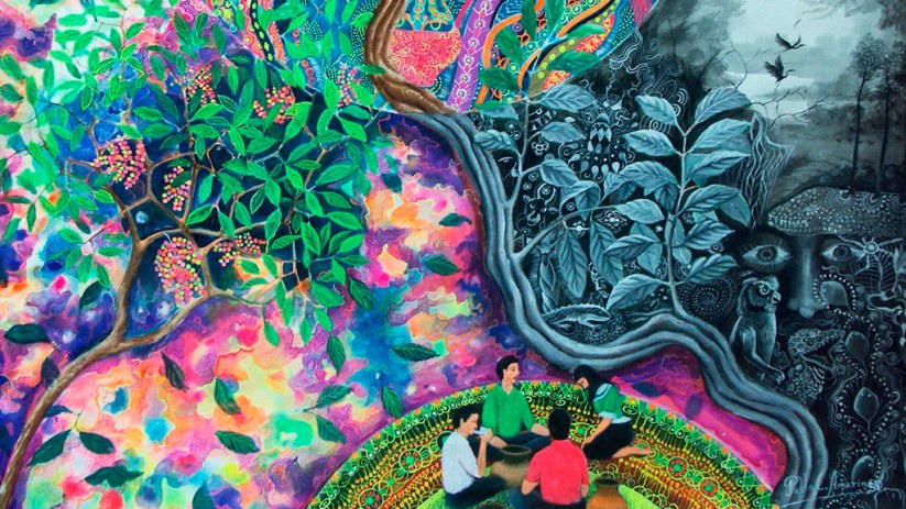 What is the Ayahuasca What is the Ayahuasca
