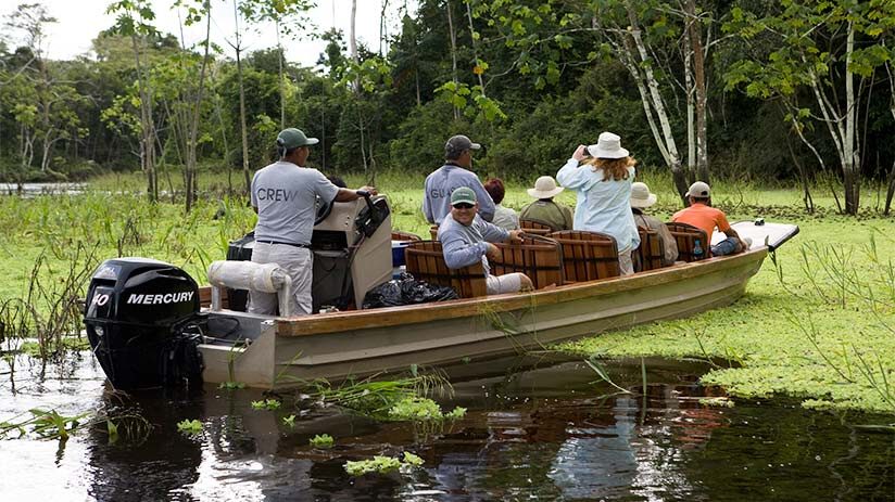 enjoy bird watching in peru