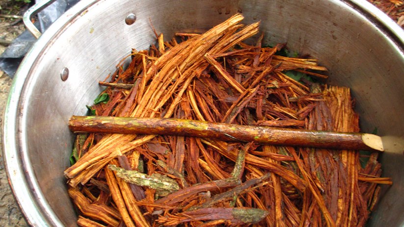 What is the Ayahuasca Ceremony in Peru? What is the Ayahuasca Ceremony in Peru?