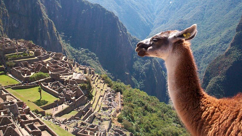 llama and machu picchu facts