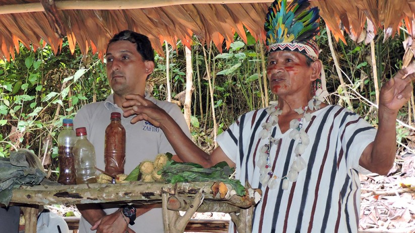 what to expect ayahuasca in peru