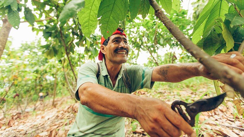 peruvian coffee farmer