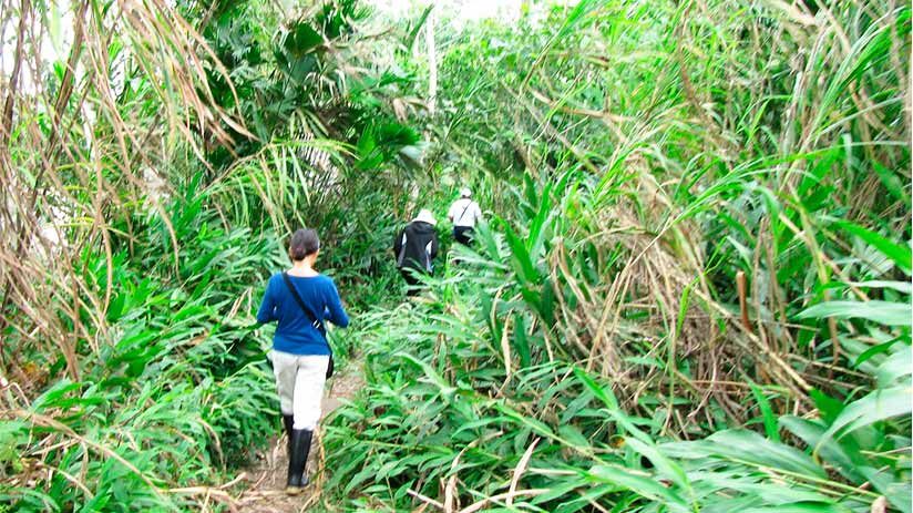 where is peru in jungle