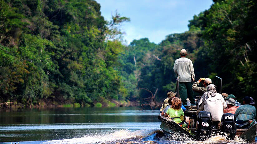 Amazon in Peru