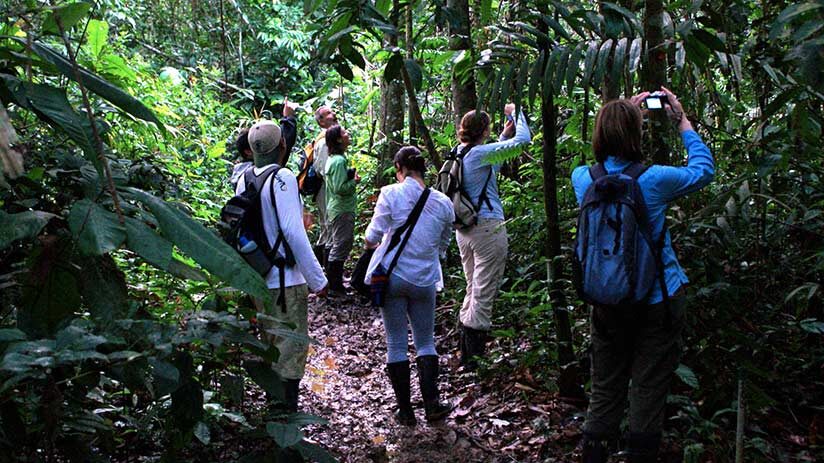 enjoying the amazon in peru