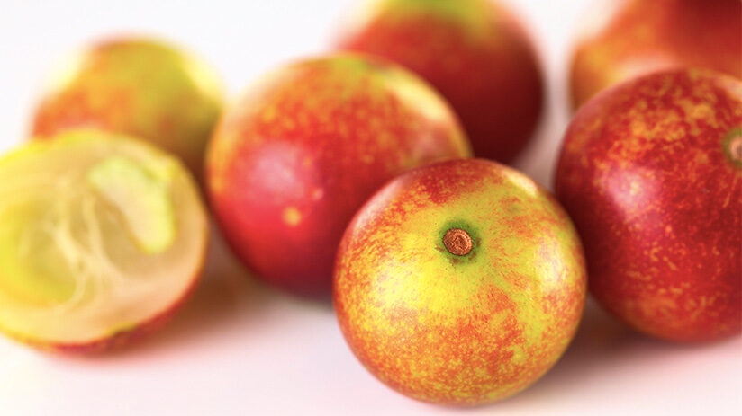 camu camu peruvian superfoods