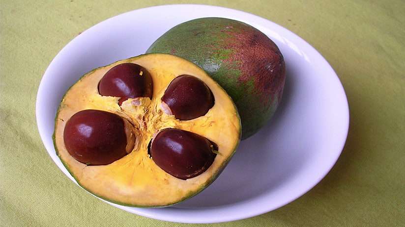 lucuma peruvian superfoods