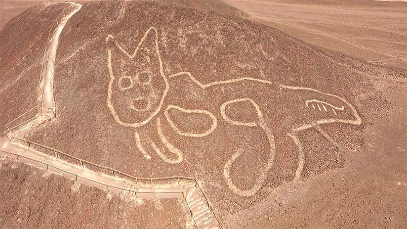 nazca lines images the cat
