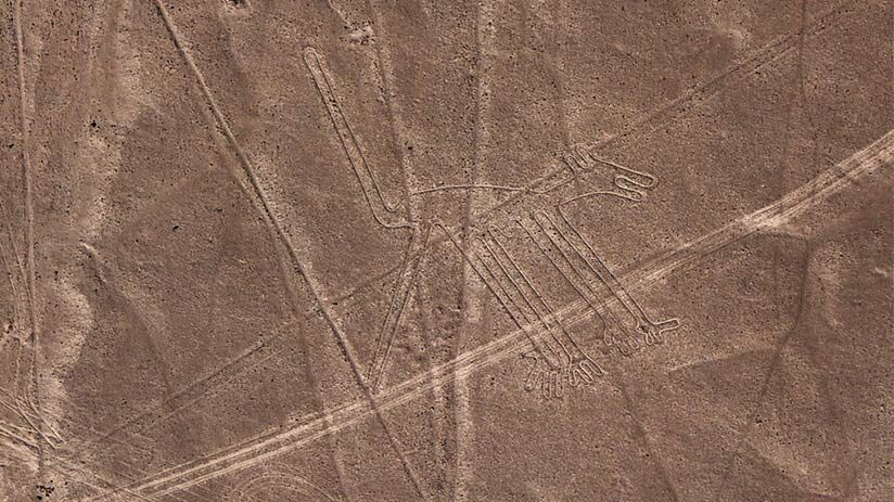 nazca lines images the dog