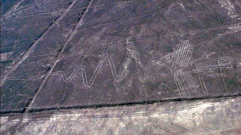 nazca lines images the pelican