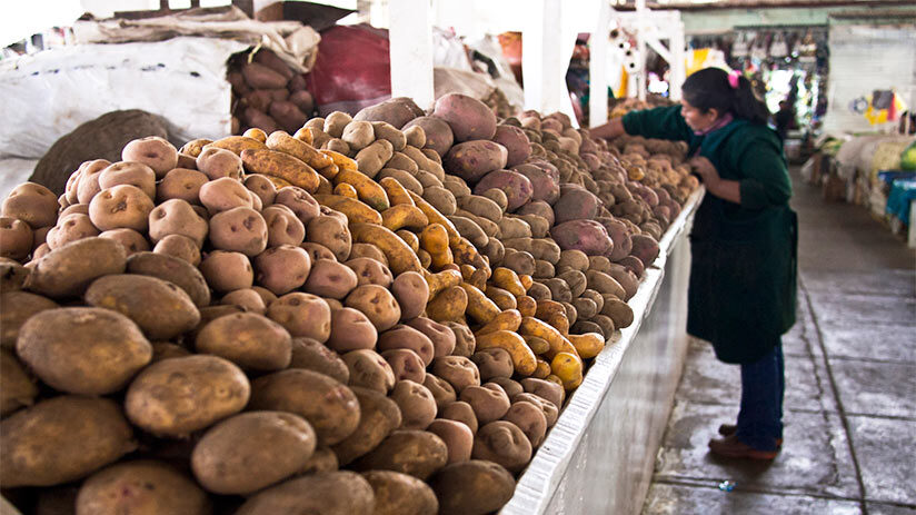 peruvian national dish products