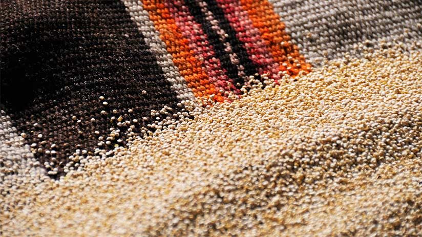history of quinoa
