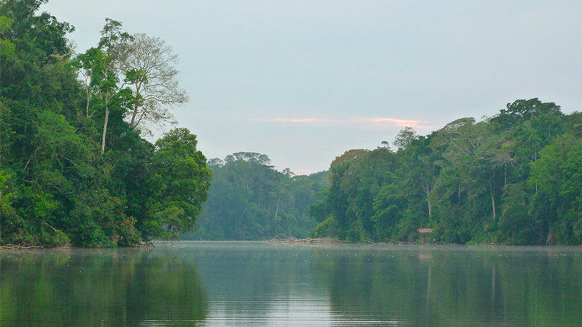 manu national park salvador lake