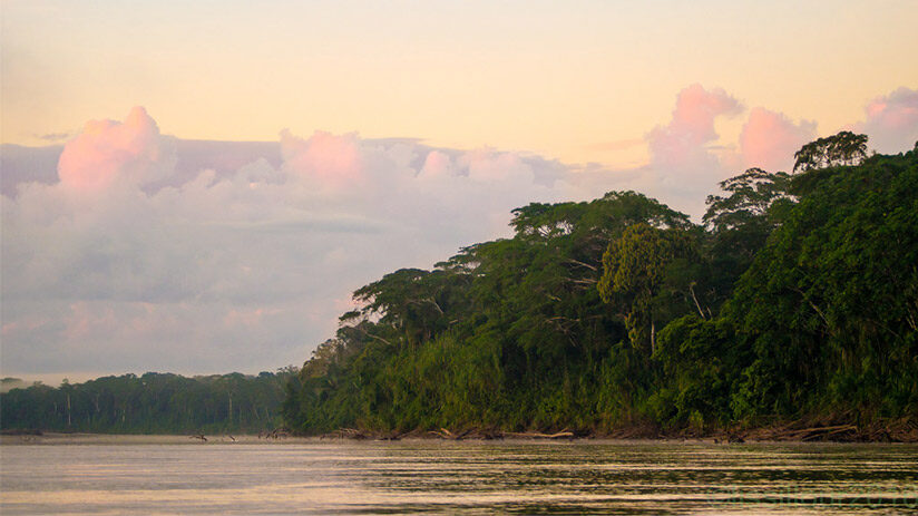 manu national park weather