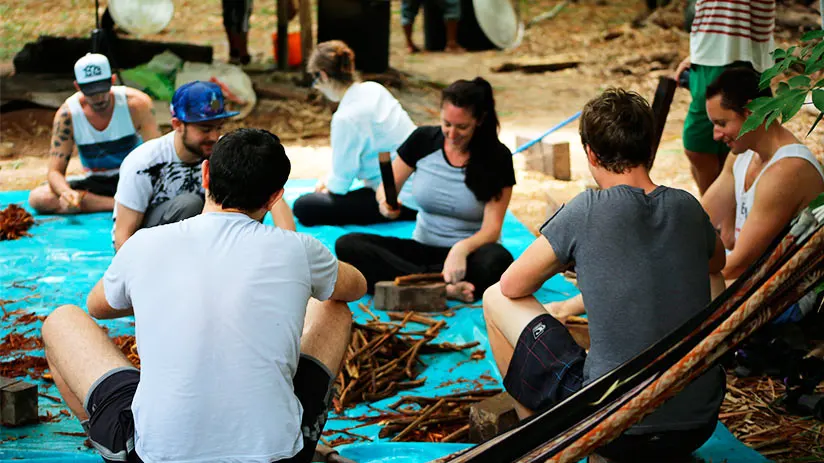 ayahuasca preparation