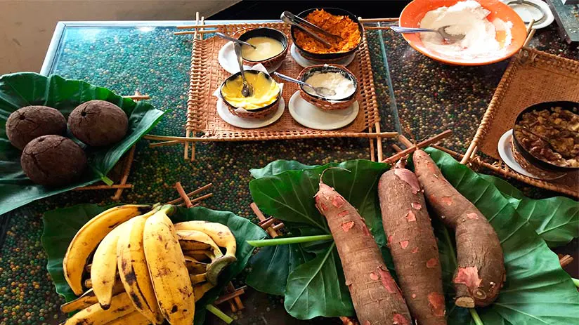 ayahuasca previous food