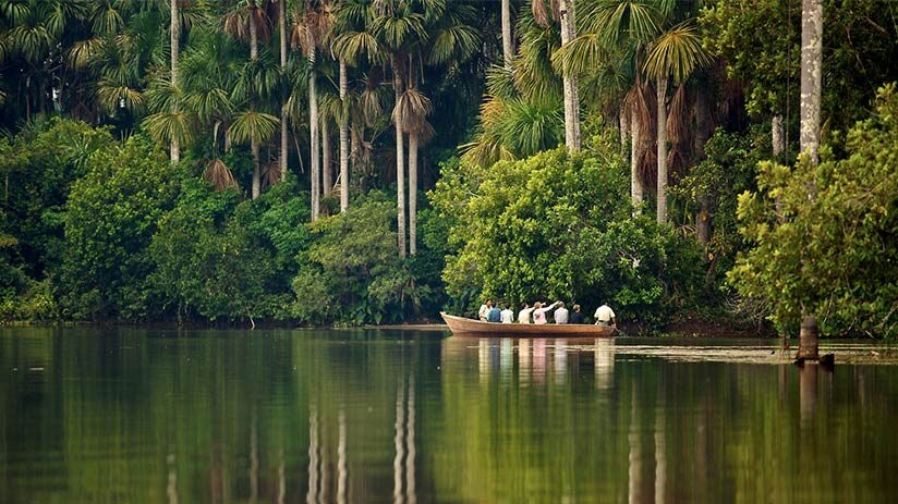 tambopata national reserve