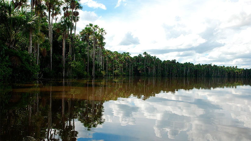 location of tambopata national reserve