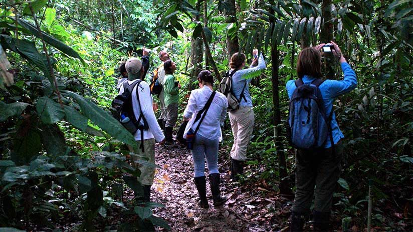 what to wear in tambopata national reserve