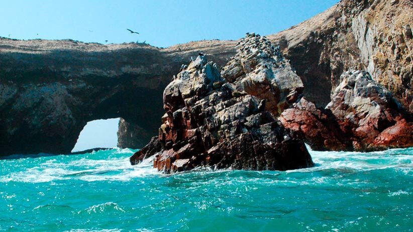 ballestas islands peru tour