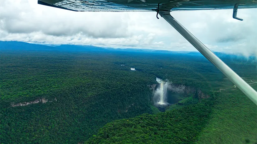 airplane to amazon