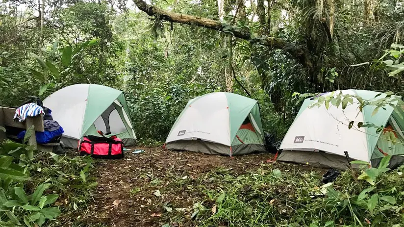 amazon camping