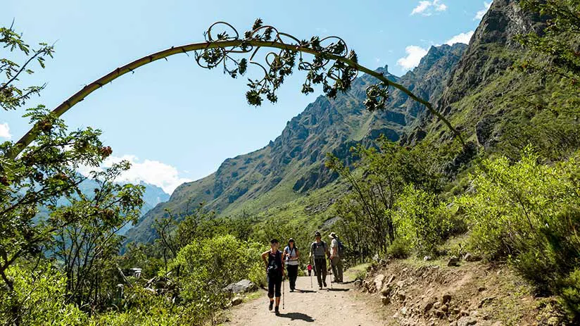 machu picchu located trek