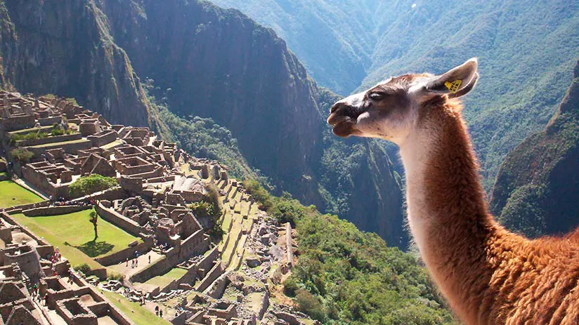 machu picchu tickets questions