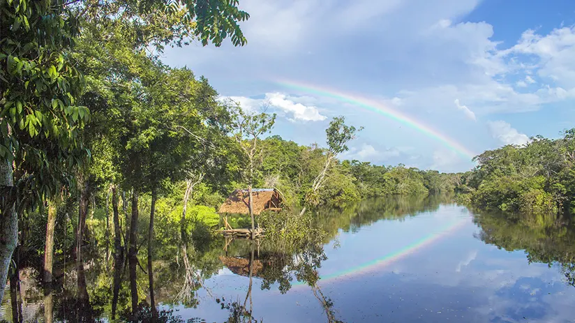 where-is-peru-in-jungle