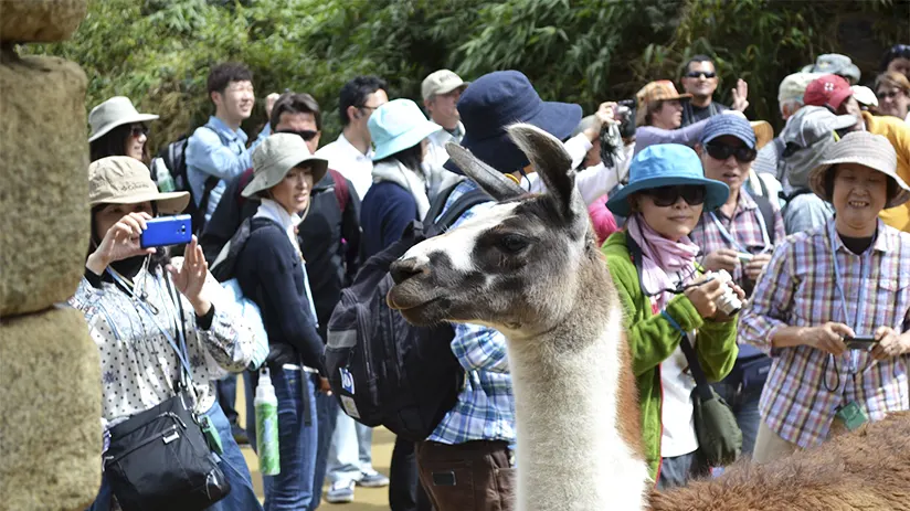 avoid crowd in machu picchu