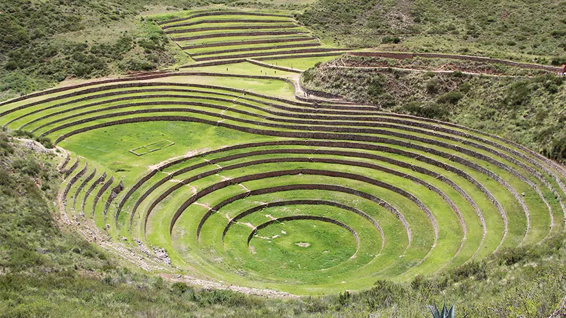 moray terraces