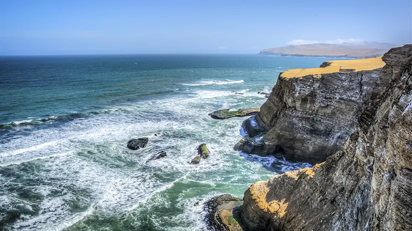 paracas national reserve