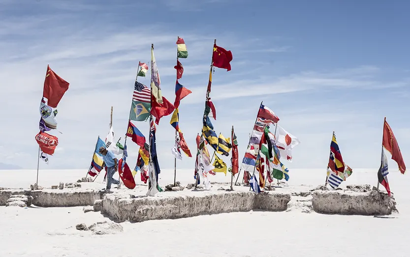 flags uyuni