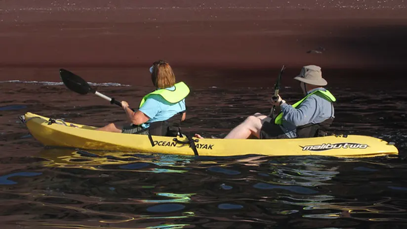 kayaking galapagos islands