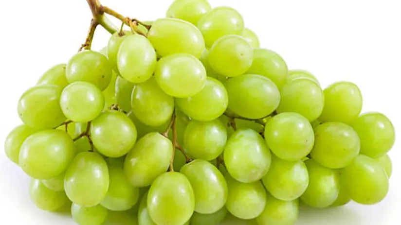 grapes fruit