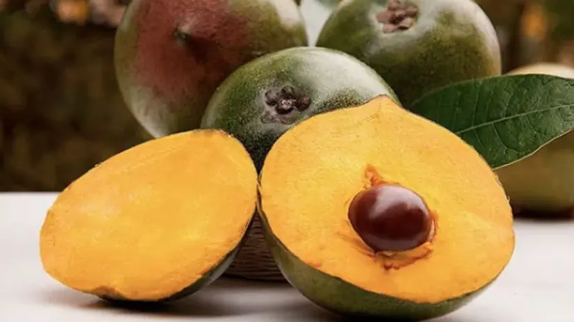 lucuma fruit peru