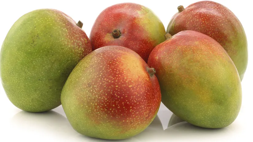 mango fruit