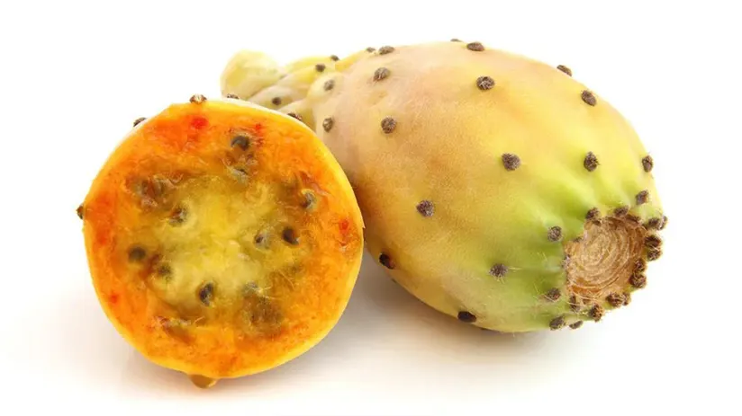 tuna fruit peru