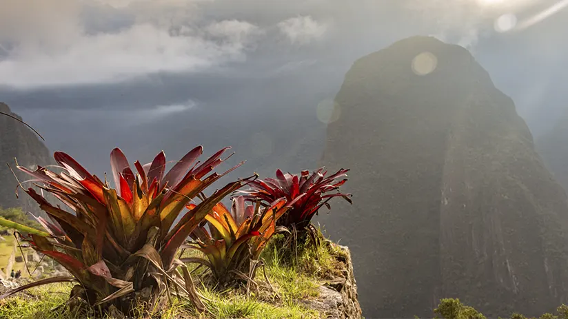 dry season in Machu Picchu
