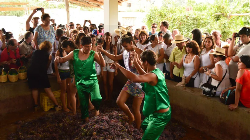 Harvest Grape Festival Ica