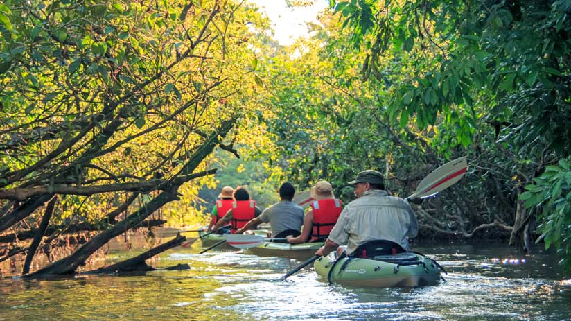marvelous peru expeditions on the amazon river