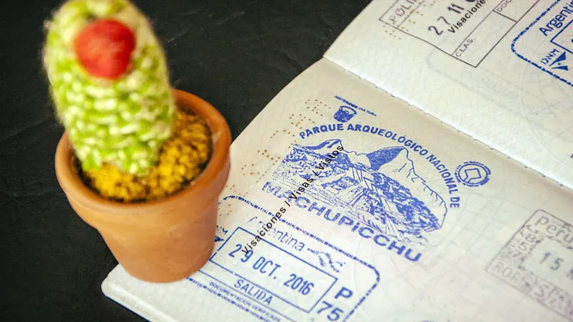the passport with stamps