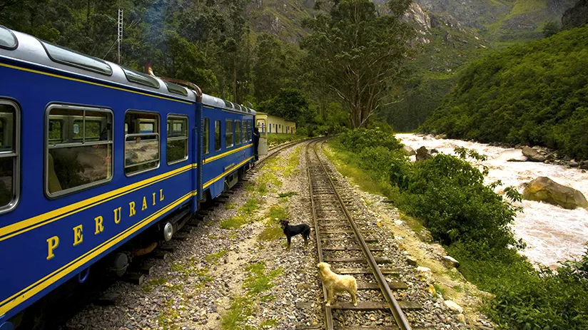 Train to Machu Picchu