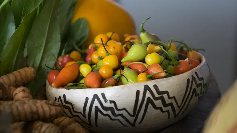 Peruvian panorama for vegans