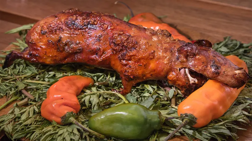 Guinea pig dishes Peru
