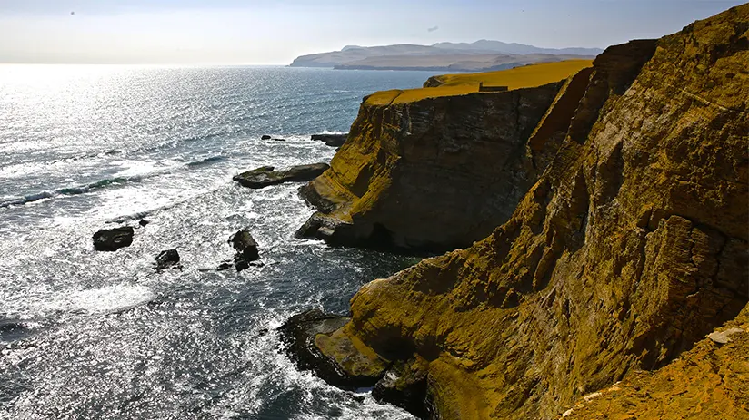 Paracas National Reserve