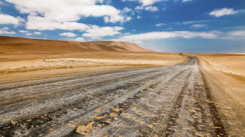 Ways to go to Paracas